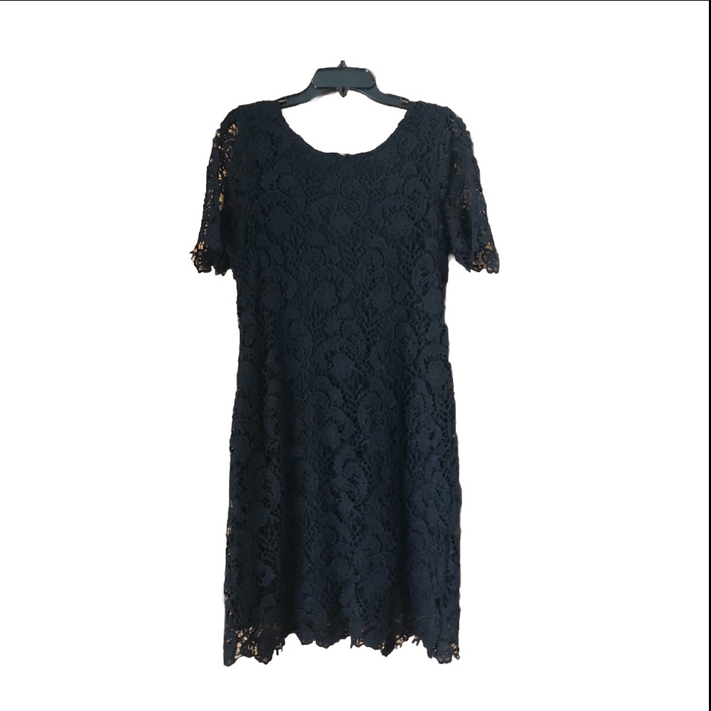 KUT From The Kloth Black Elegant Lace Mini Dress Size 12 Coquette